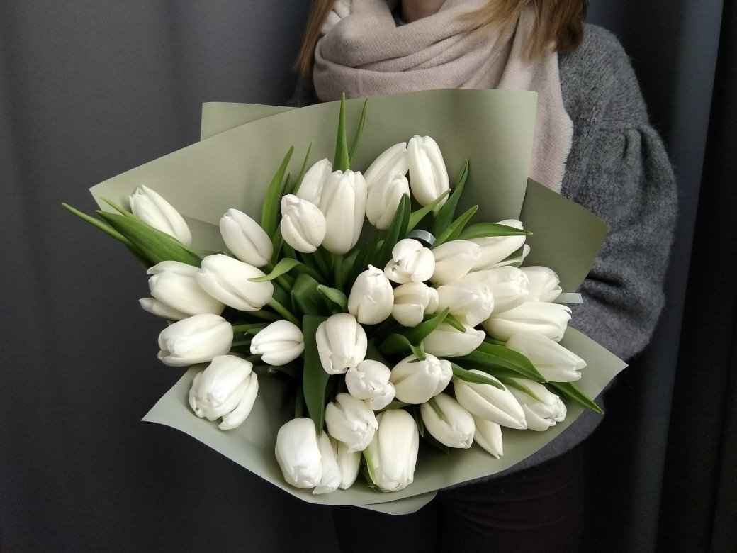 Тюльпан Holland Snow 600 цибулин розмір 12+