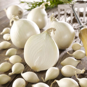 Цибуля сіянка (саджанка) Гледстоун сітка 1 кг розмір 10/12