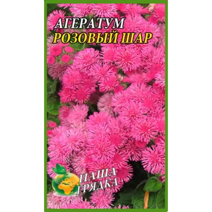 Агератум Рожева куля