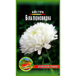 Айстра піоноподібна Біла