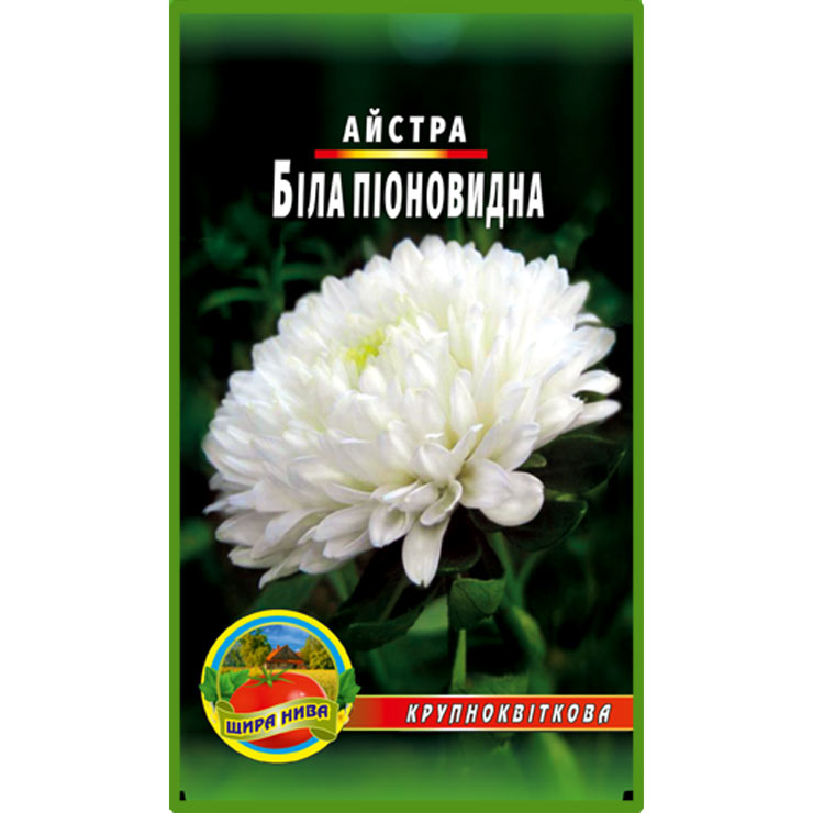 Айстра піоноподібна Біла