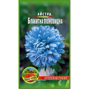 Айстра піоноподібна Блакитна