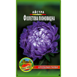 Айстра піоноподібна Фіолетова