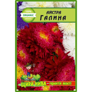 Айстра Галина