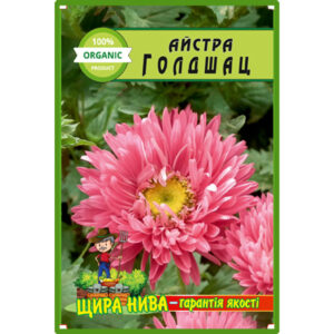 Айстра Голдшац