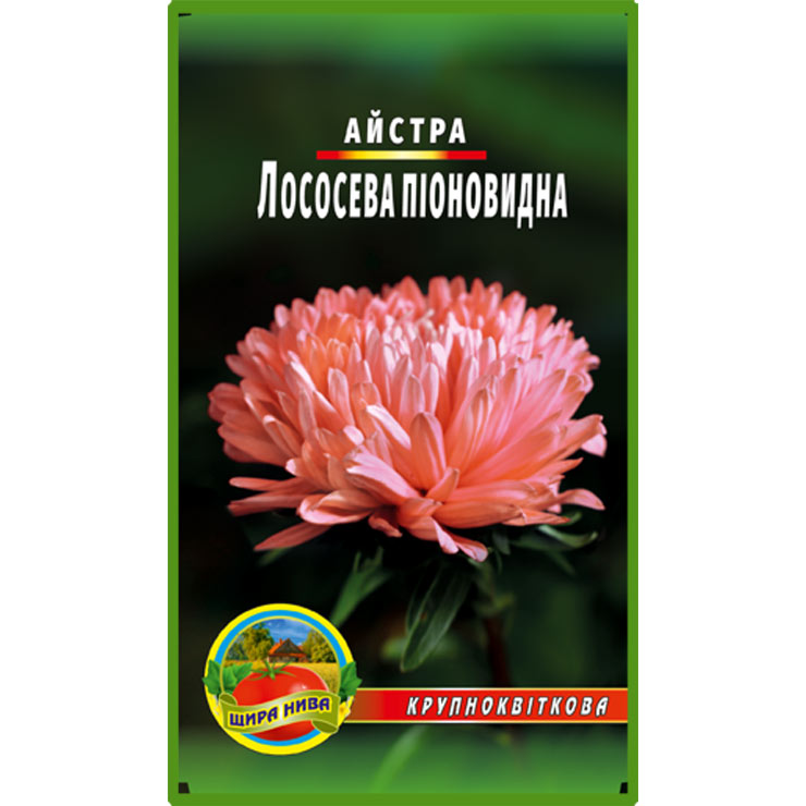 Айстра піоноподібна Лососева