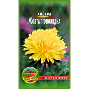 Айстра піоноподібна Жовта