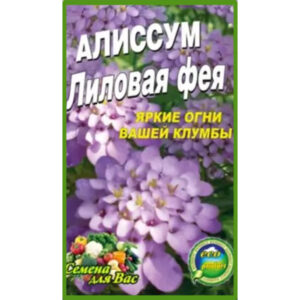 Аліссум Лілова фея