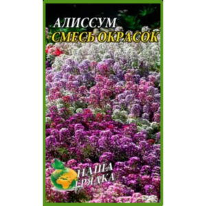 Аліссум Суміш забарвлень