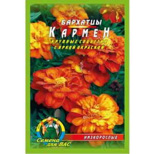 Чорнобривці Кармен