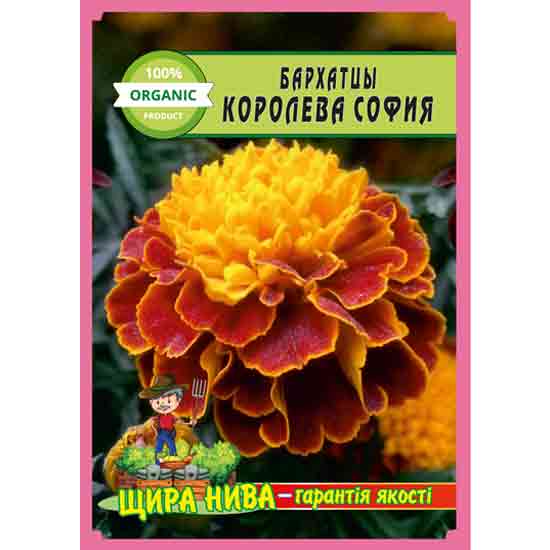 Чорнобривці Королева Софія