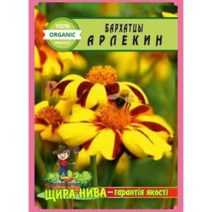 Чорнобривці Арлекін