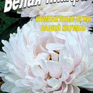 Айстра Біла німфа