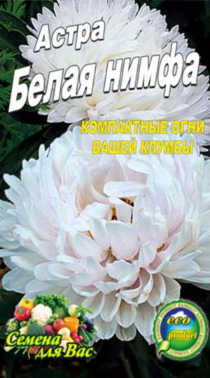Айстра Біла німфа