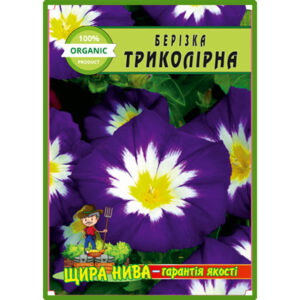 Берізка Триколірна