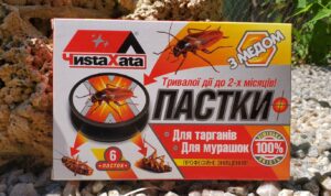 Чиста хата пастка