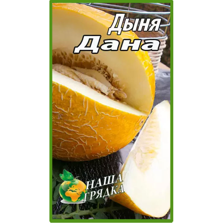 Диня Дана пакет 40 насінин