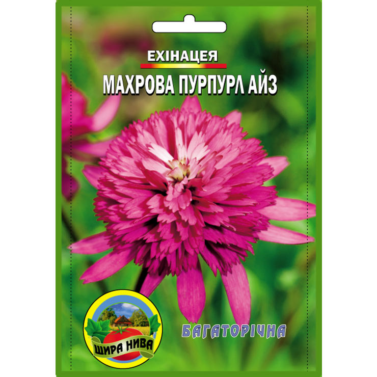 Ехінацея багаторічна махрова