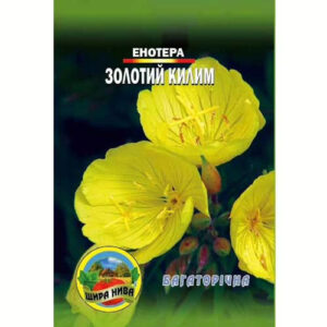 Енотера-Золотий-килим