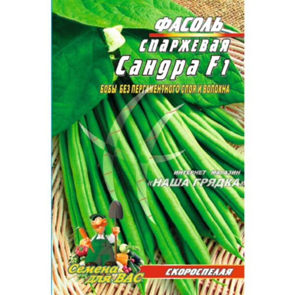 Квасоля спаржева Сандра пакет 10 грамів