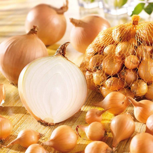 Цибуля сіянка (саджанка) Штутгартер Різен сітка 1 кг розмір 10/12