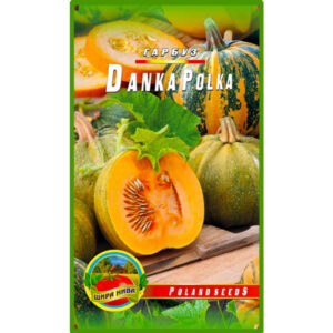 Гарбуз Данка полька пакет 5 грамів