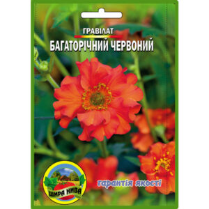 Гравілат багаторічний Червоний