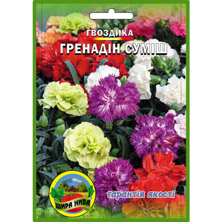 Гвоздика Гренадин суміш