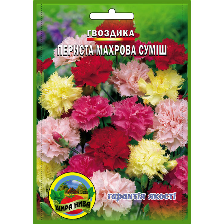 Гвоздика Периста махрова суміш