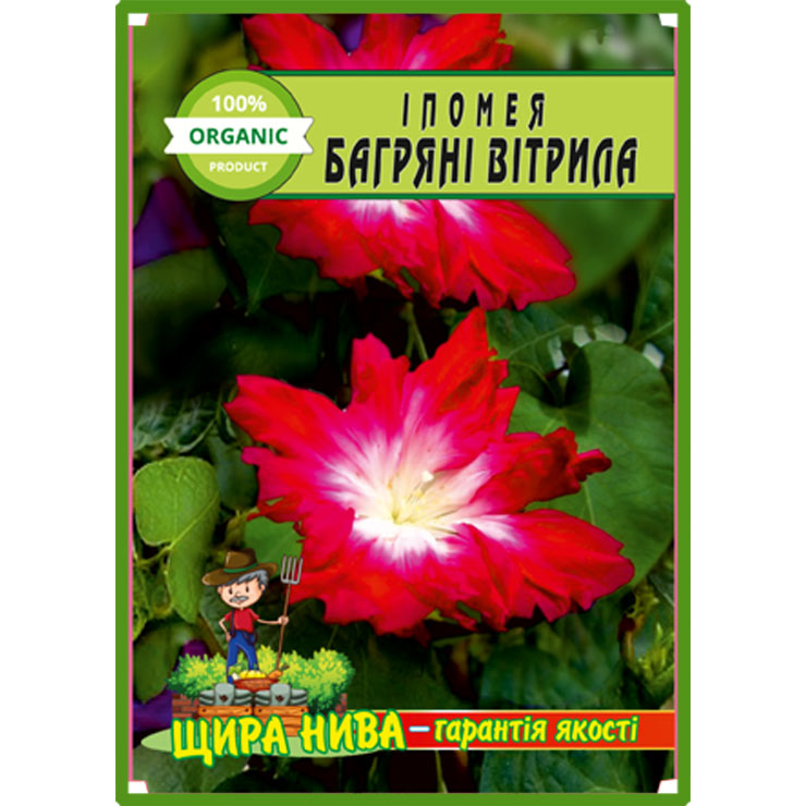 Іпомея Багряні вітрила