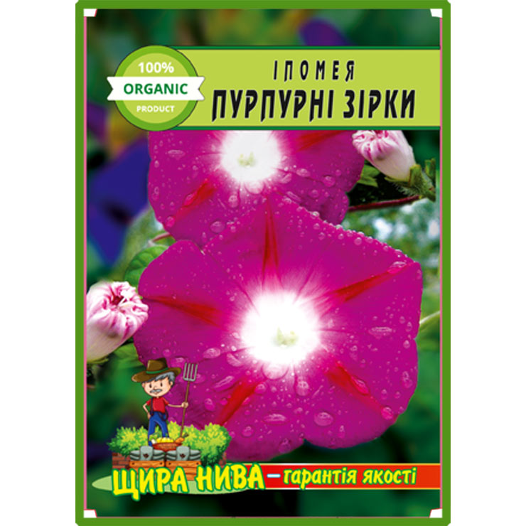 Іпомея Пурпурні зірки