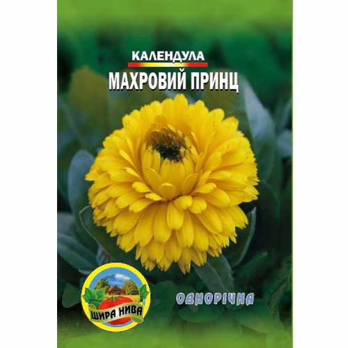 Kalendula-Makhrovyj-prynts