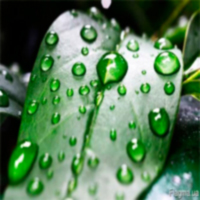 Каталог прилипачі