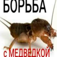 Каталог засобу від капустянки