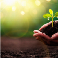 Каталог добрив для рослин