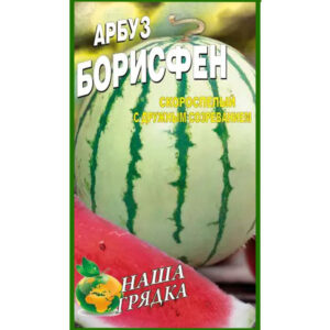 Кавун Борисфен пакет 40 насінин