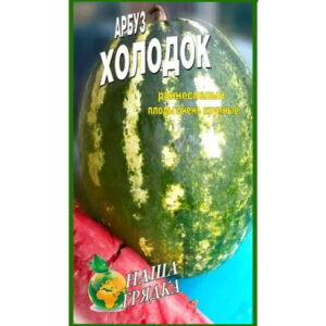 Кавун Холодок пакет 40 насінин