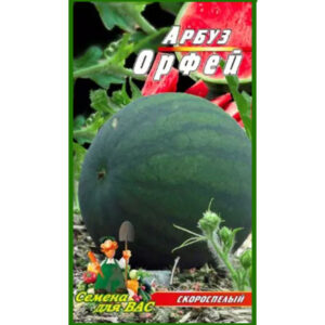 Кавун Орфей пакет 40 насінин