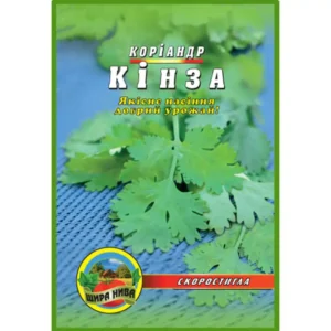 kinza-koriandr-shchyra-nyva