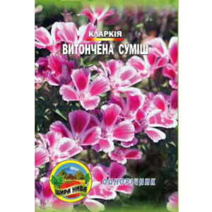 Кларкія-Витончена-суміш