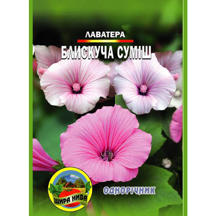 Лаватера Блискуча суміш