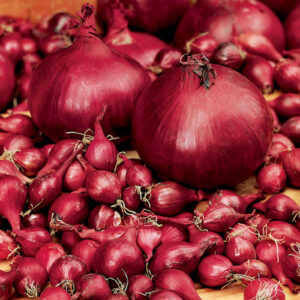 Цибуля Ред Барон сітка 10 кг розмір 8/21