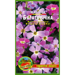 Матіола Багаторічна