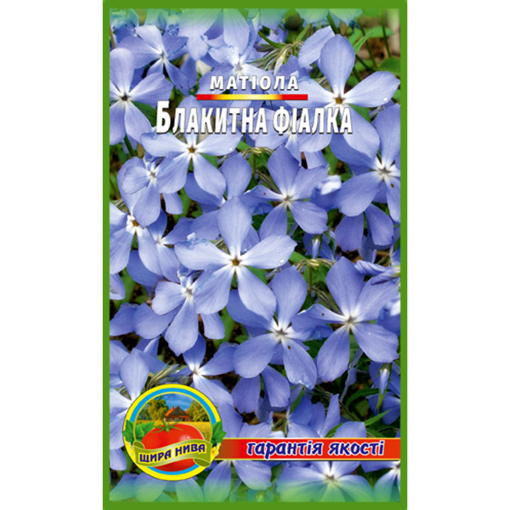 Матіола Блакитна Фіалка