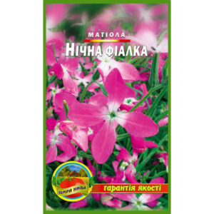Матіола Нічна фіалка