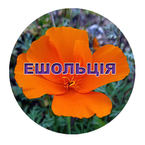 Насіння ешольції