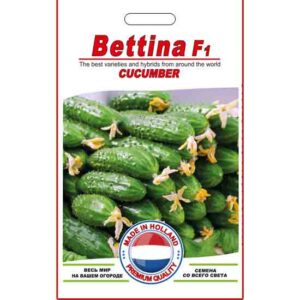 Огірок Беттіна пакет 10 насінин