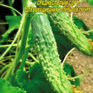 Огірок Лелека 10 насінин