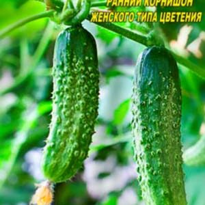 Огірок Аннушка F1 10 насінин