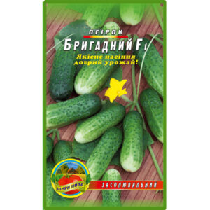Огірок Бригадний пакет 30 насінин